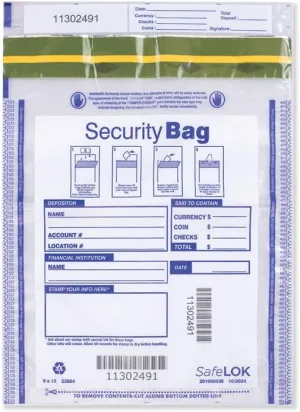 5Forms Dual Pocket Deposit Bag Clear 9 x 12" - QTY 100 BAGS