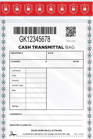 6x9 Cash Transmittal Bag (100)