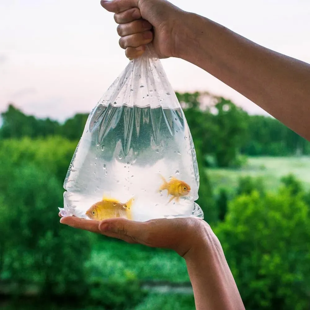 APQ Clear Plastic Fish Bags for Live Fish, 10 x 20 Inch. Pack of 100 Polyethylene Live Fish Shipping Bags. 2 Mil Thick Aquarium Fish Bags. Durable Fish Transport Bags. Plastic Bags for Fish Transport