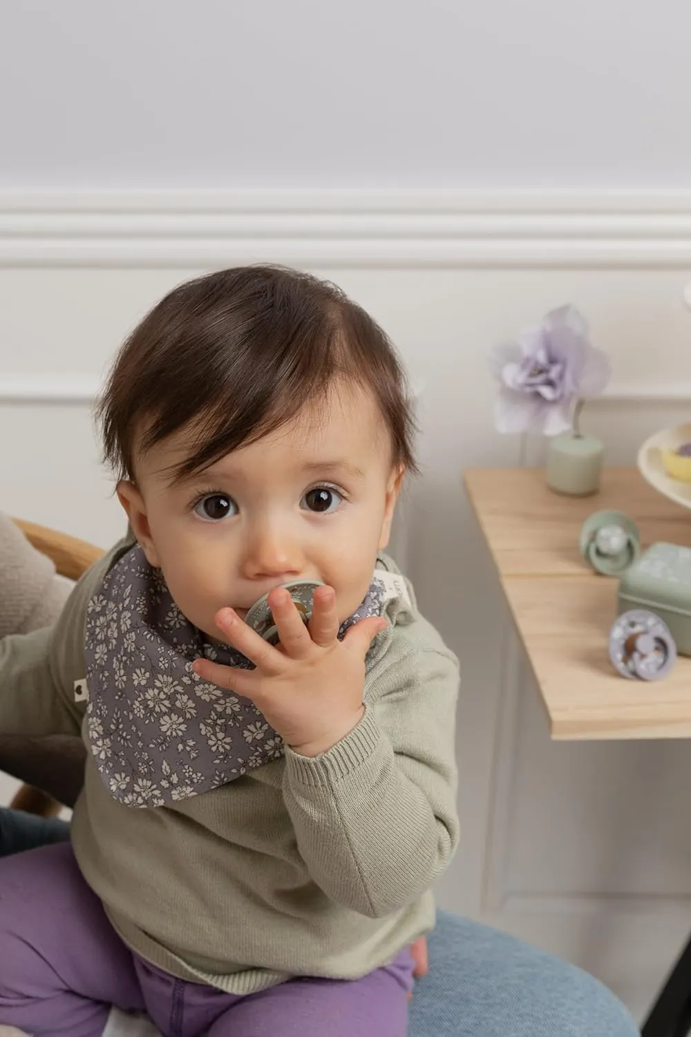 Bibs Liberty Pacifier case