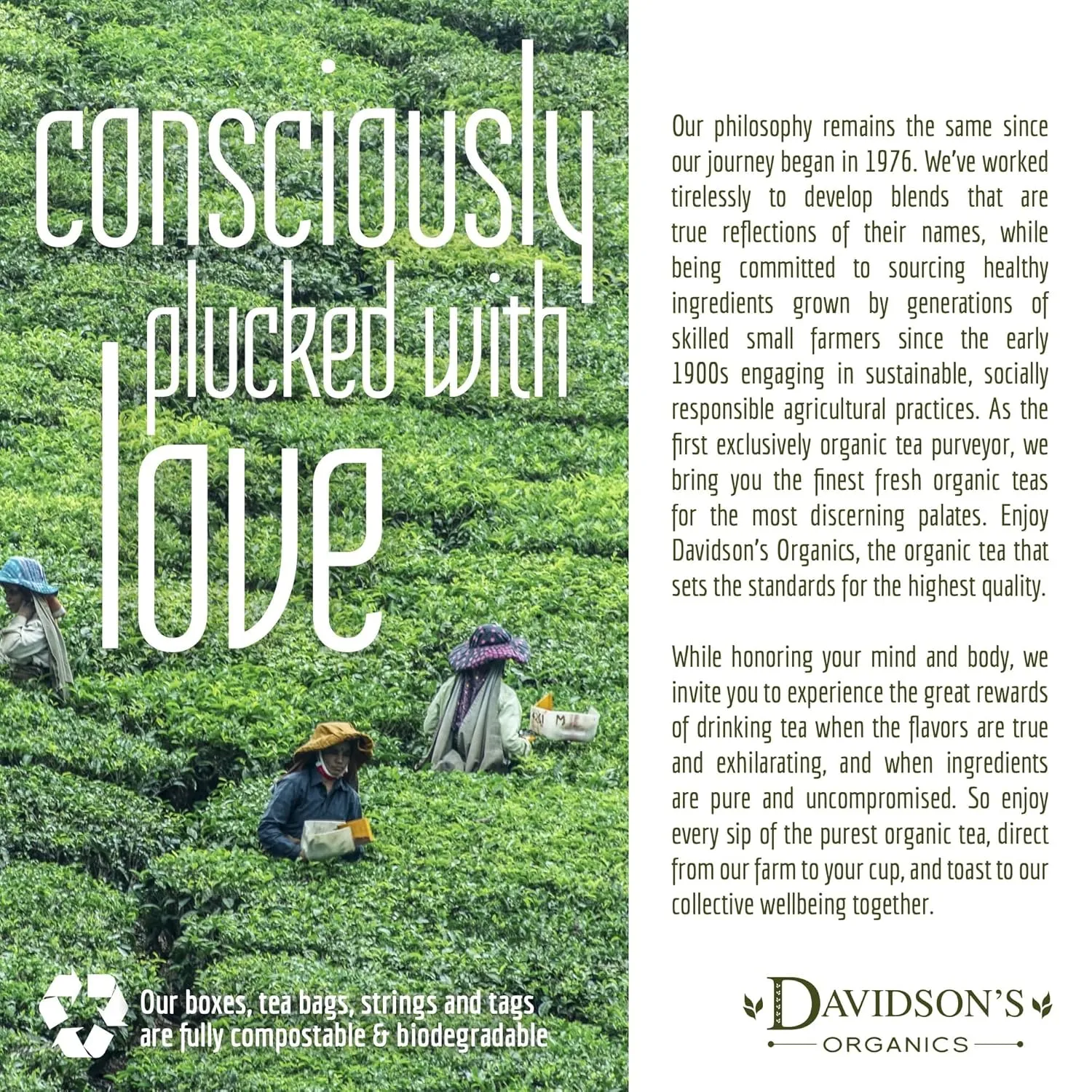 Davidson's Organics, Valentine Tea, Loose Leaf Tea, 16-Ounce Bag