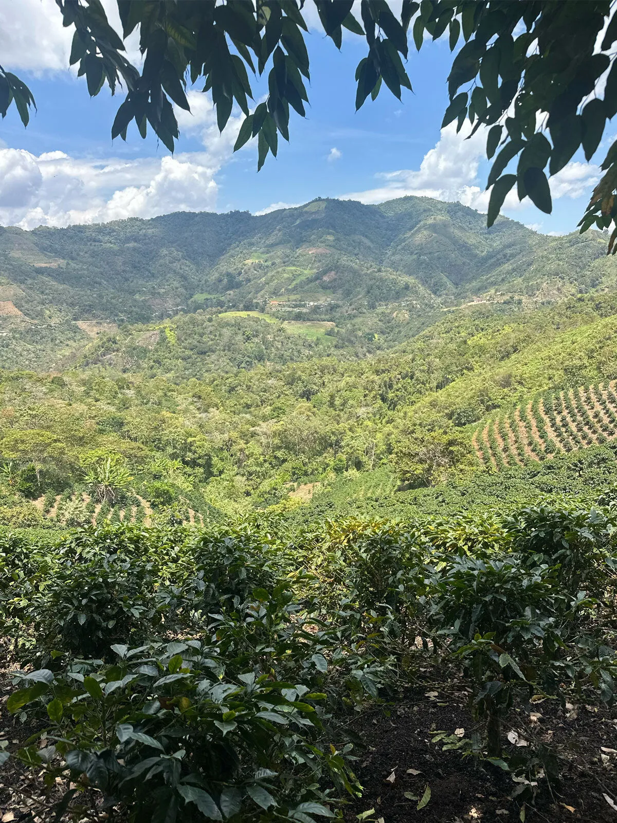 Perú, Fidel Huancas