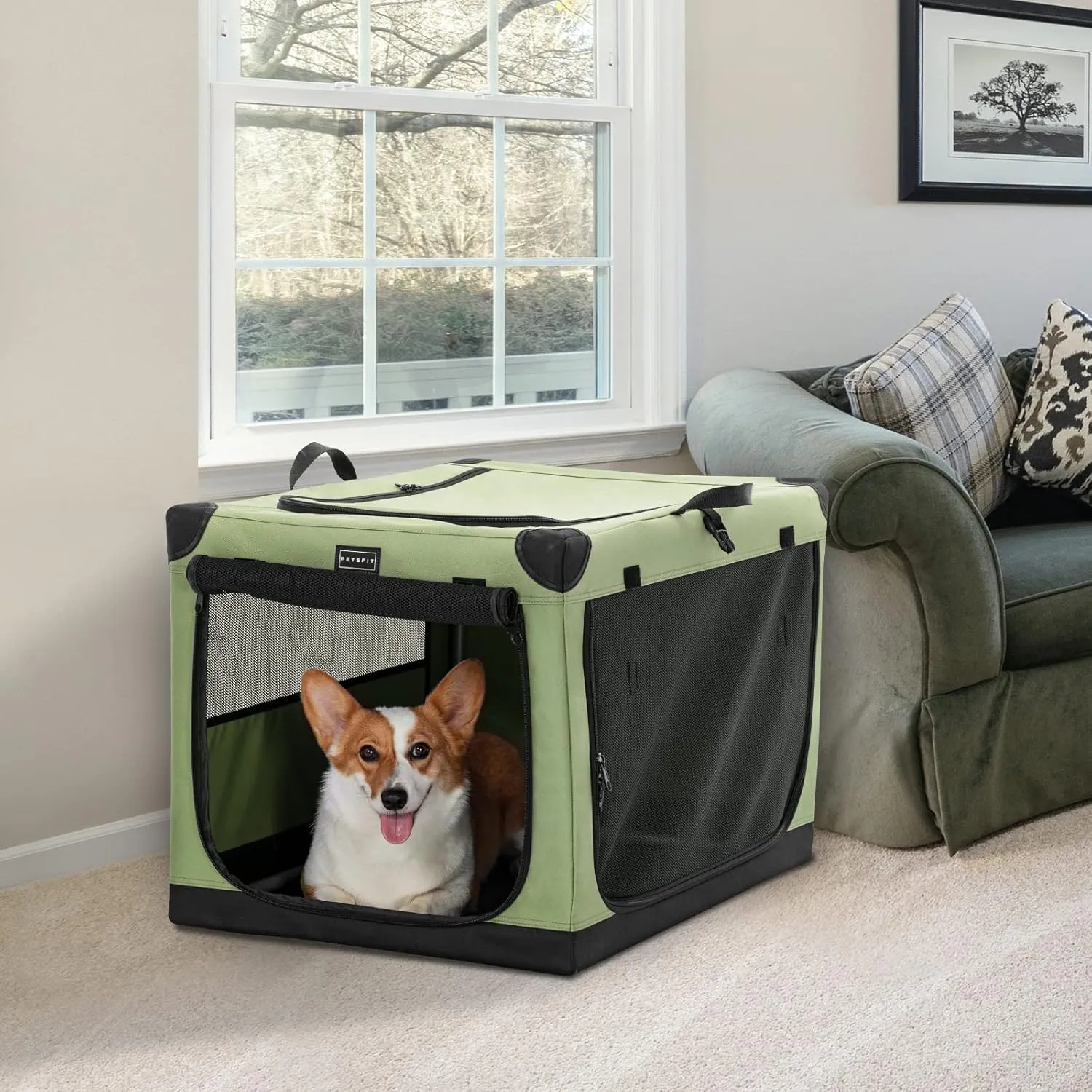 PETSFIT Soft Dog Crate, with Patented Adjustable Fabric Cover, Chewproof & Lockable Mesh Doors, Waterproof Base Collapsible Kennel Green 30 Inch