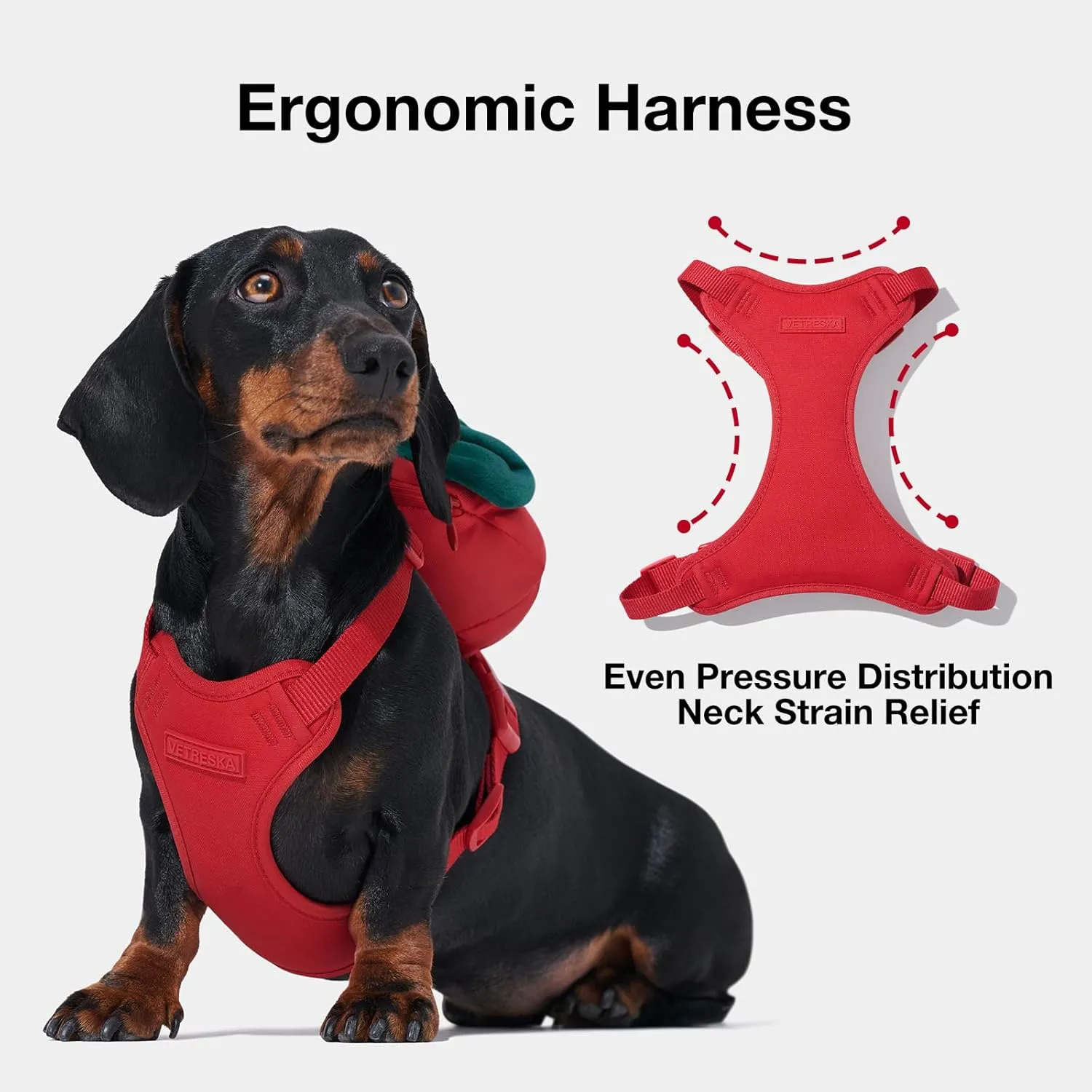 VETRESKA Strawberry Dog Harness and Leash Set, No Pull Dog Vest Harness for Medium Large Dogs, Walking and Training, Adjustable, Easy Control and Soft Padded Pet Harness and Backpack (L)